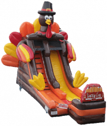 Clipped image 20240301 015032 1719351234 Turkey Fun Slide