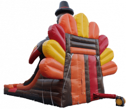 Clipped image 20240301 015117 1719351234 Turkey Fun Slide